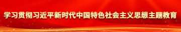 鸡巴c嫩B学习贯彻习近平新时代中国特色社会主义思想主题教育